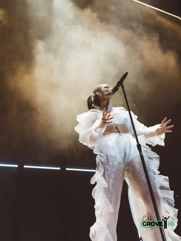 Lorde Struggle and Career